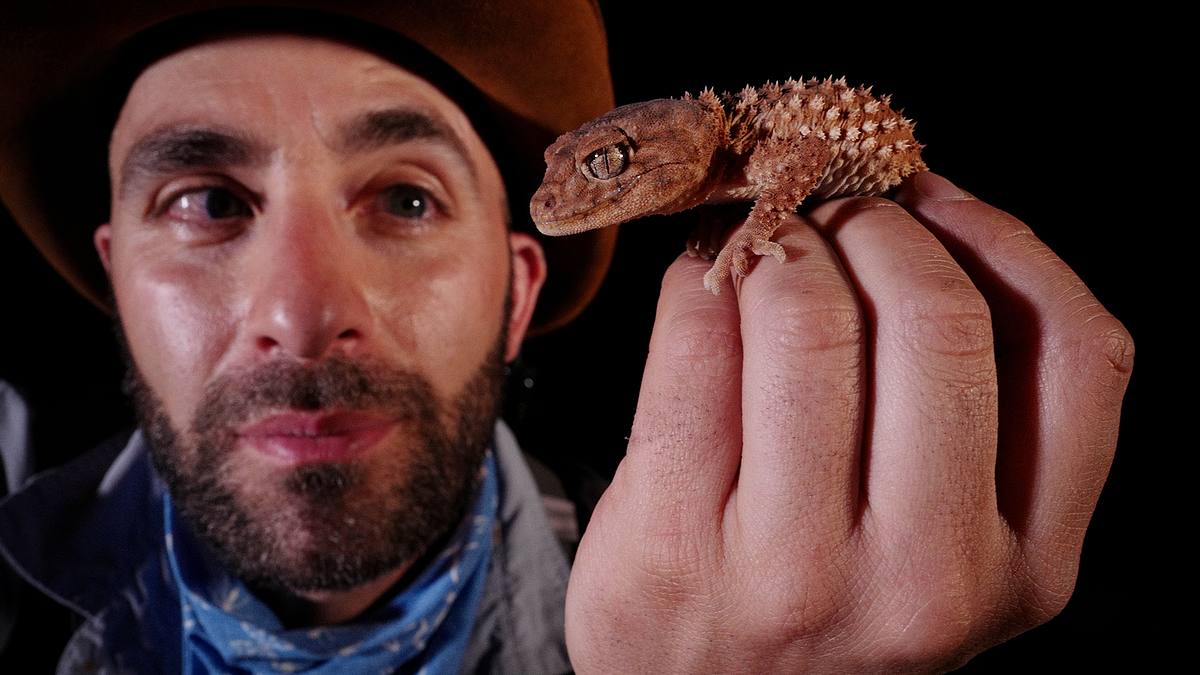 faszinierende tierwelt mit coyote peterson