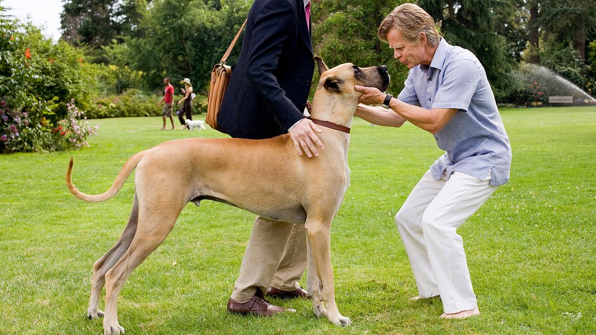 marmaduke