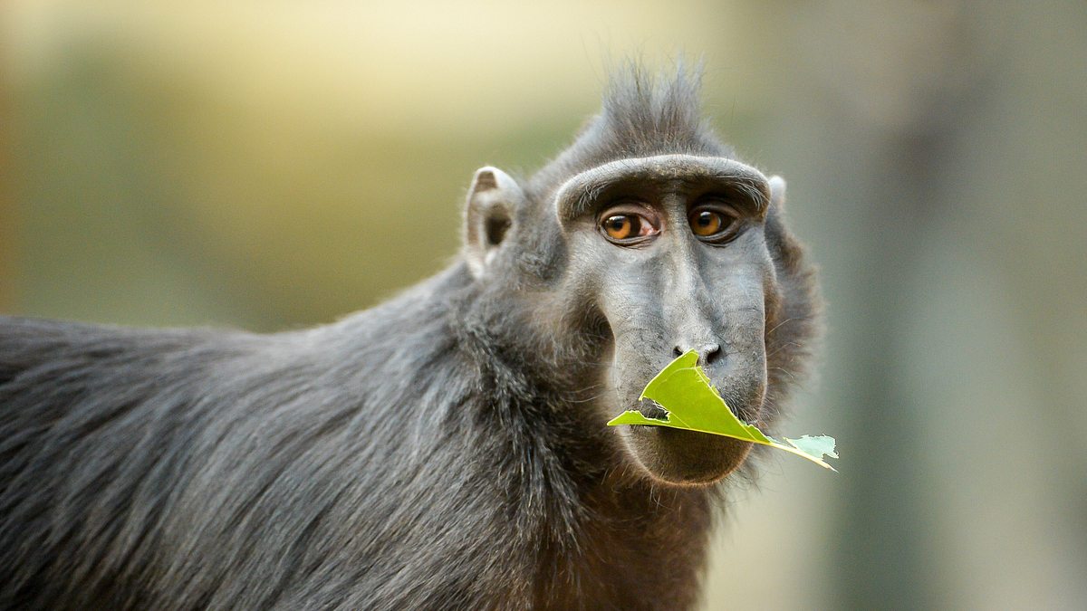 zoo und so - tierisch wild!