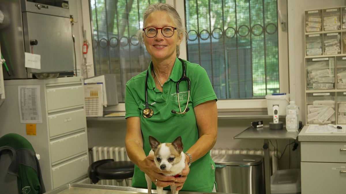 das leiden der modehunde - niedlich, aber krankgezüchtet?