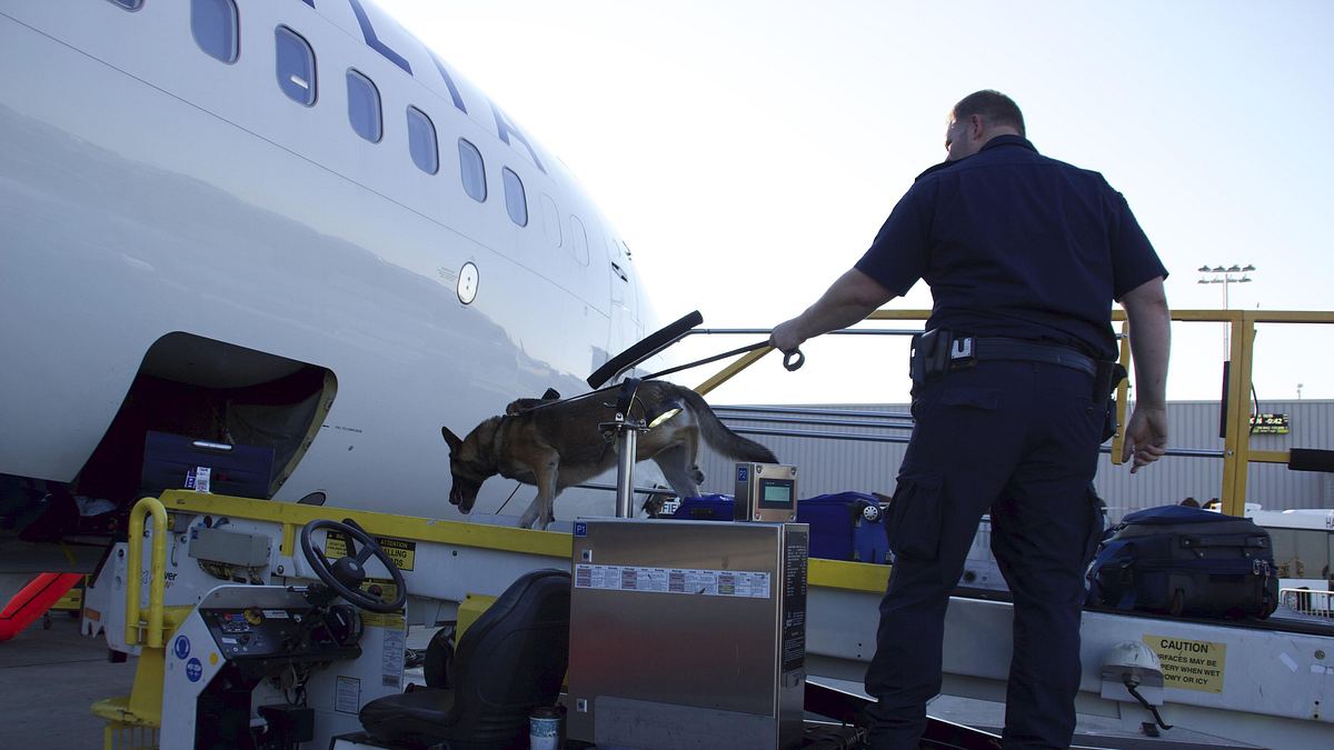 flughafen new york - kampf den schmugglern