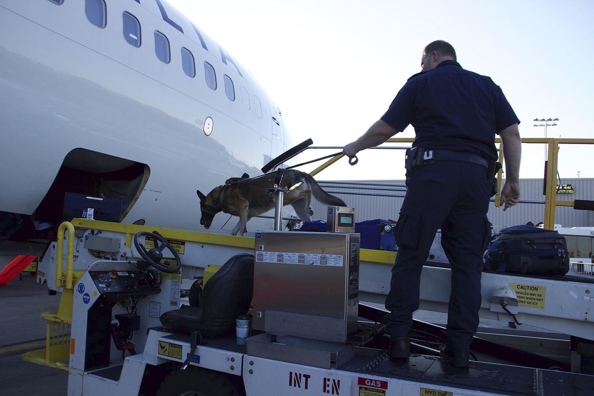 flughafen new york - kampf den schmugglern