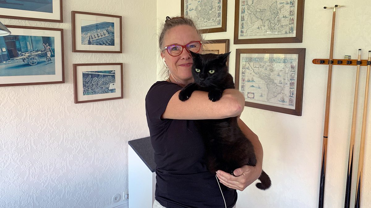 das geheime wesen der katzen