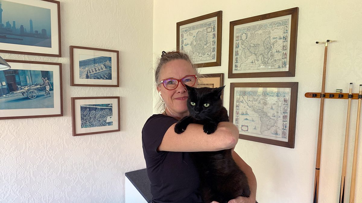 das geheime wesen der katzen