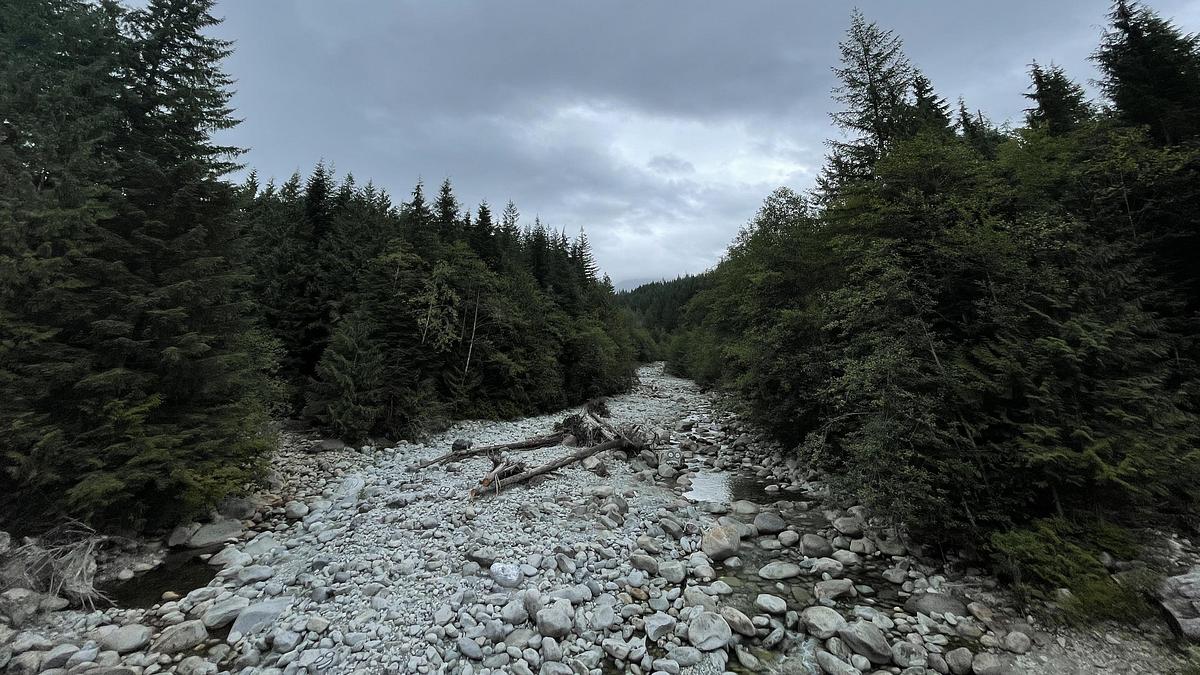 verfluchtes gold - schatzsuche in kanada