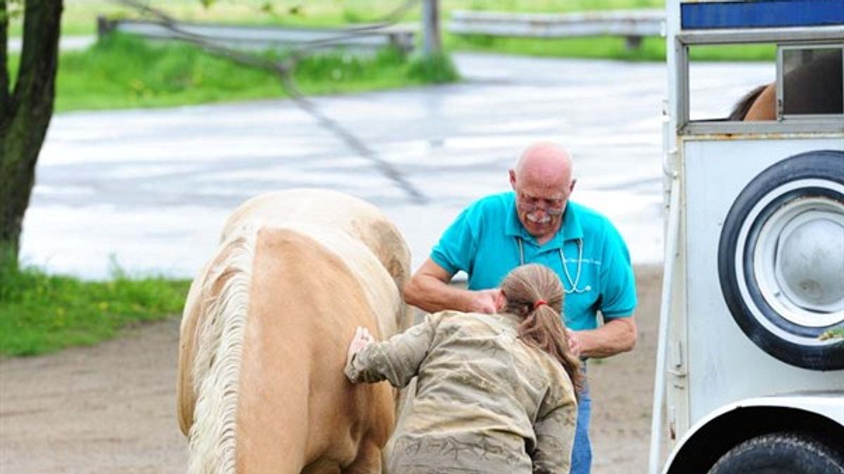 der unglaubliche dr. pol