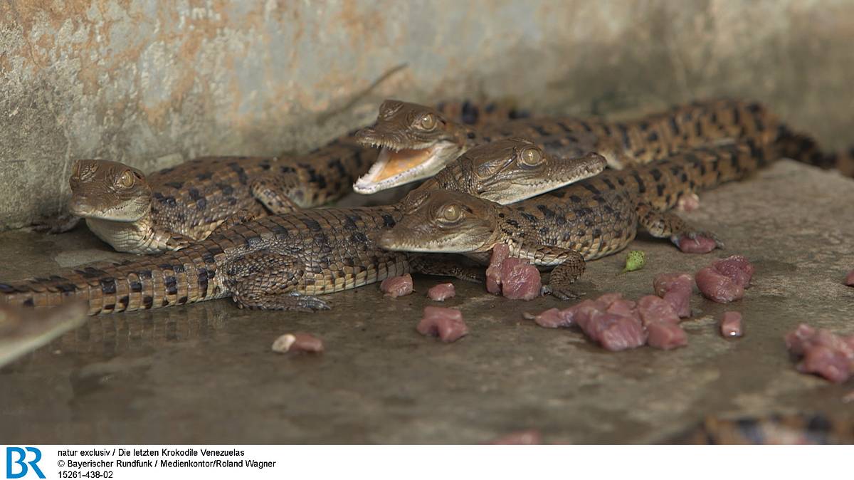 abenteuer wildnis