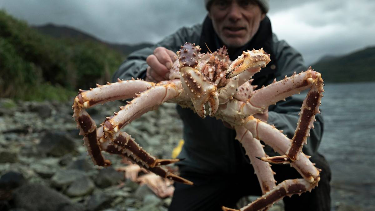dark waters mit jeremy wade
