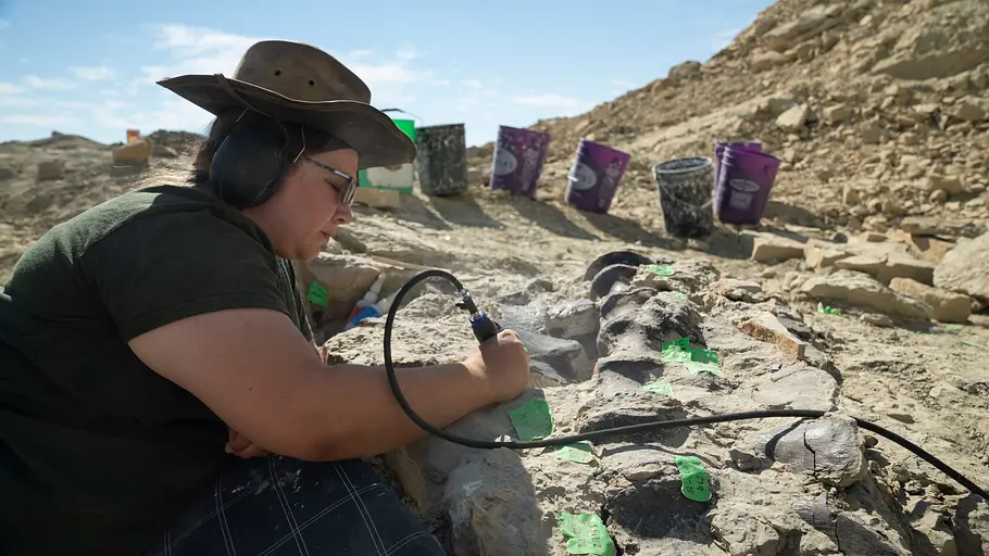 Geheimnisse der Jurassic-Saurier geheimnisse der jurassic-saurier