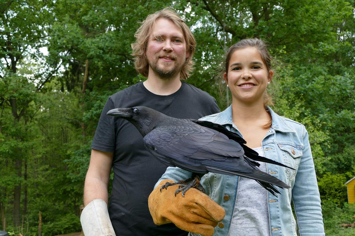 anna und die wilden tiere