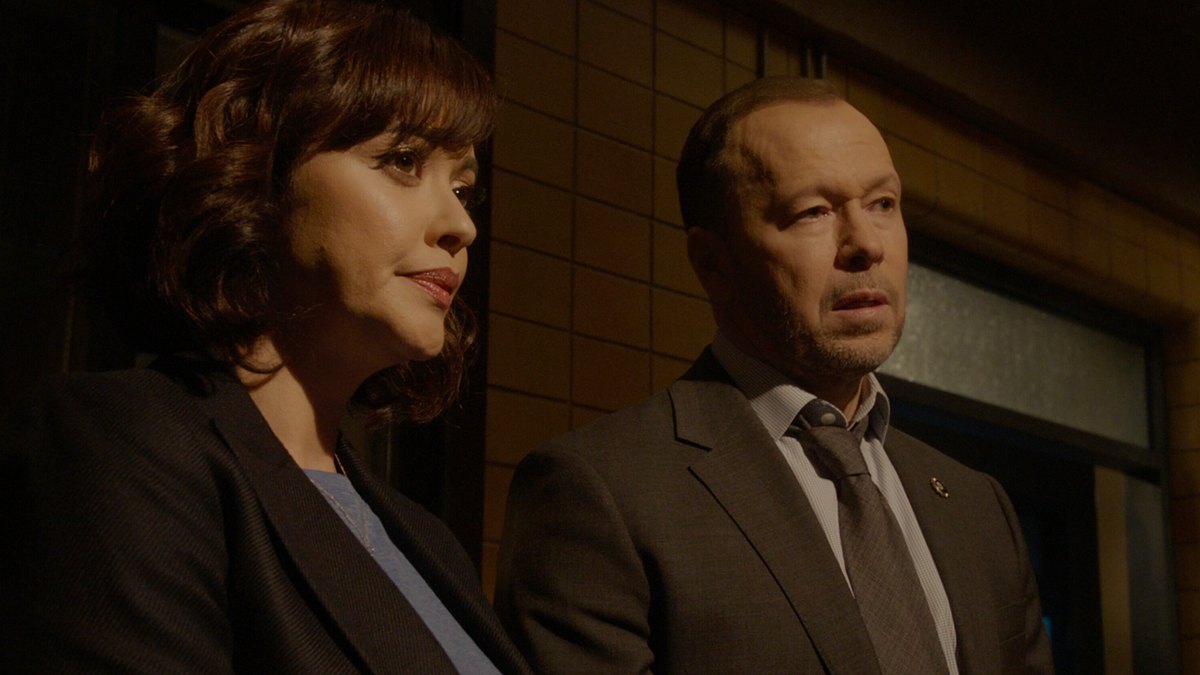 blue bloods - crime scene new york