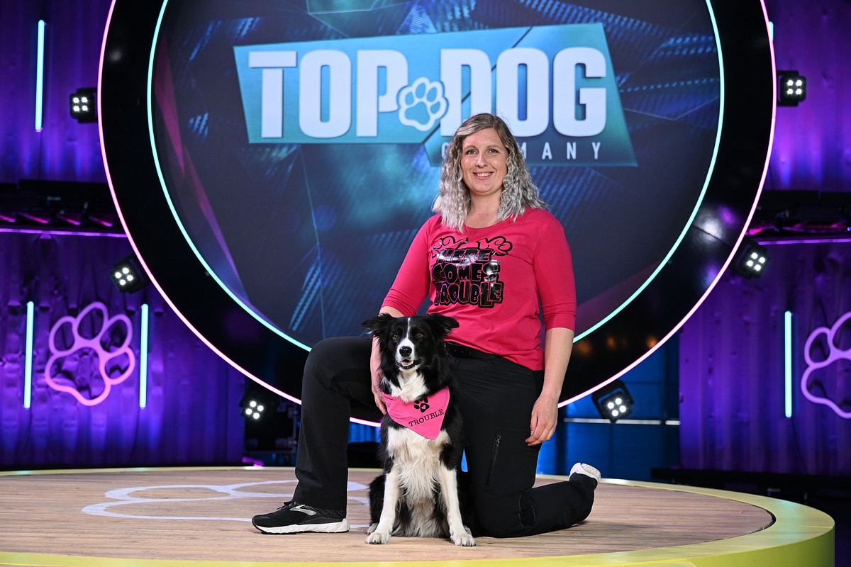 top dog germany - der beste hund deutschlands