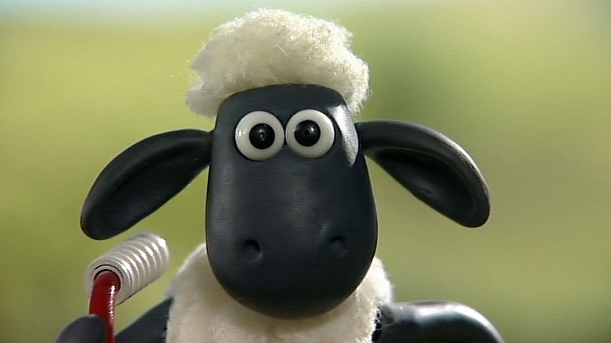 shaun das schaf