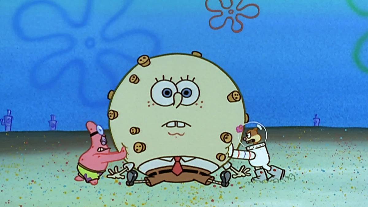 spongebob schwammkopf