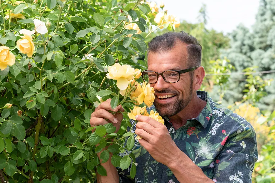Natur im Garten natur im garten