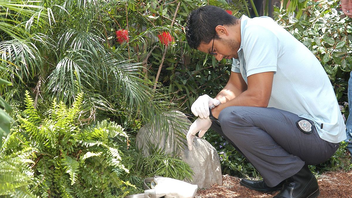 csi: miami