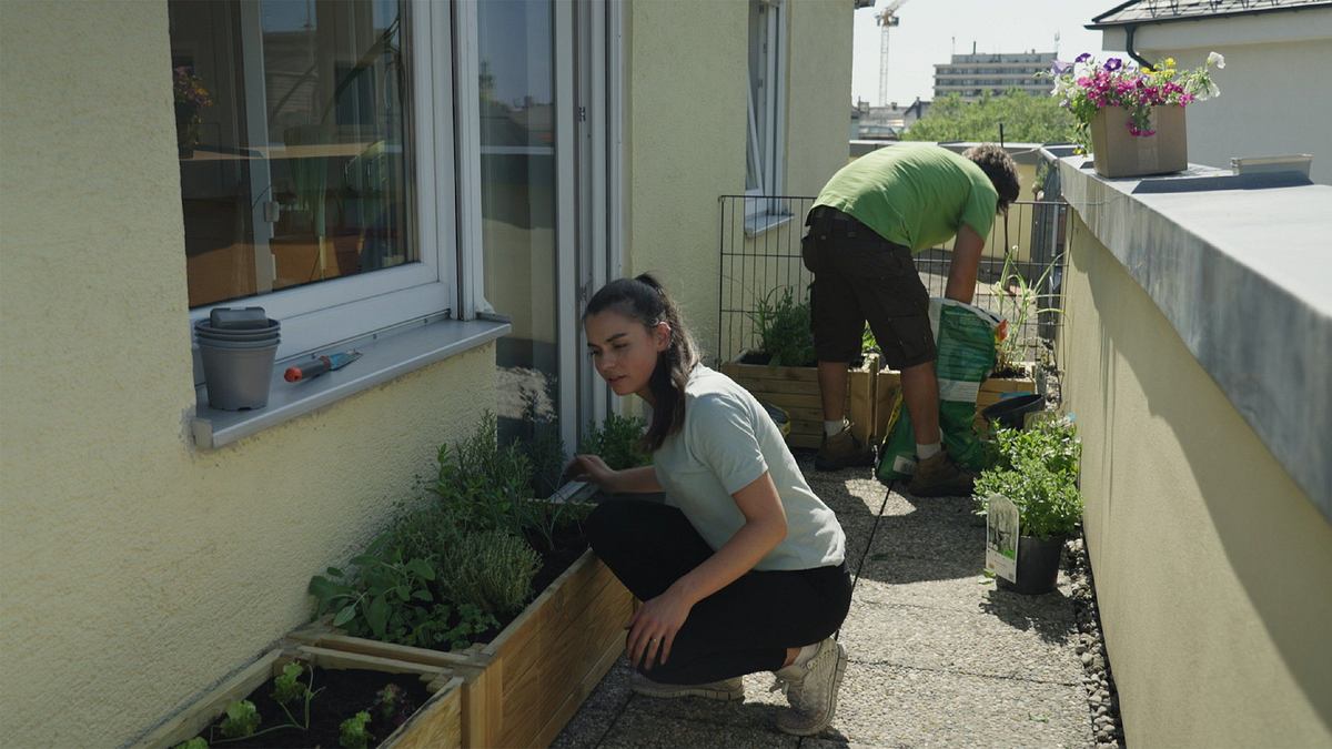 mein urbaner garten - zwischen blüten und beton