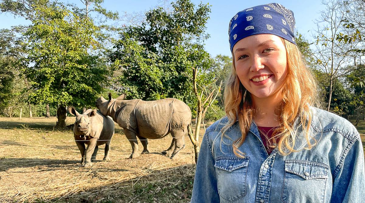 Nina und die wilden Tiere nina und die wilden tiere