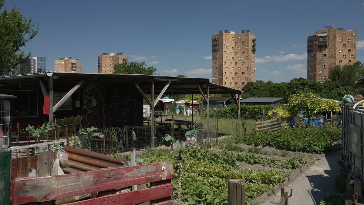 stadt land kunst