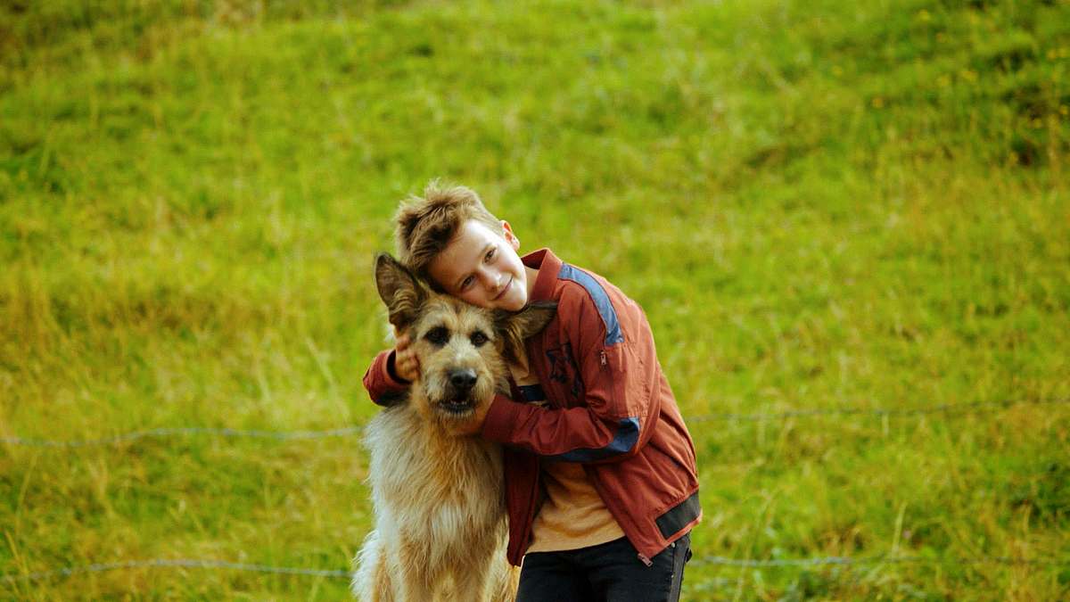 racko - ein hund für alle fälle