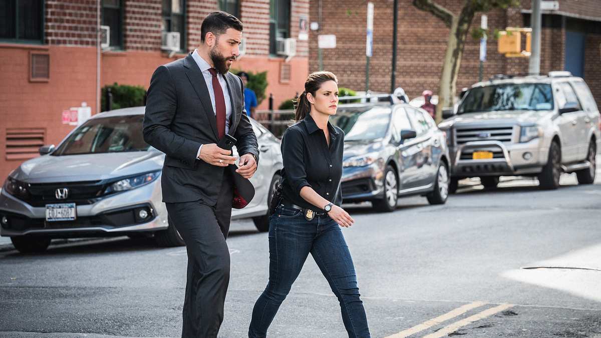 fbi: special crime unit