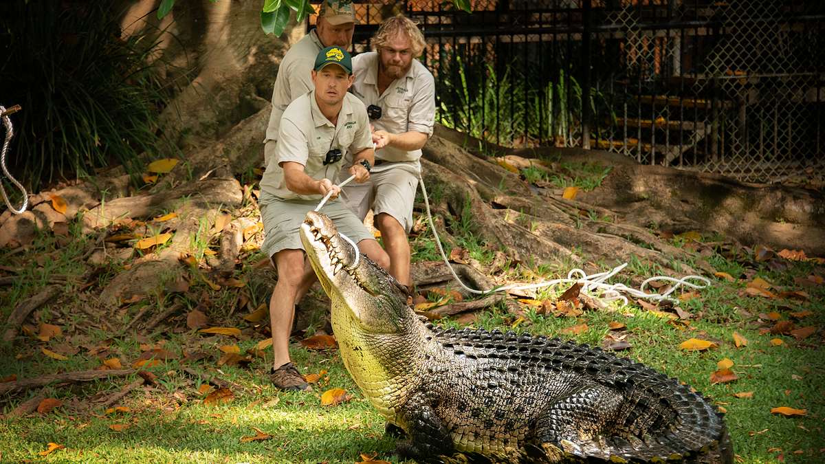 die irwins - crocodile hunter family