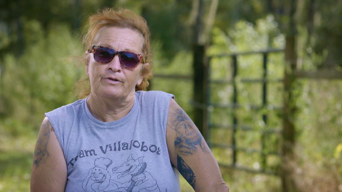 pitbulls auf bewährung