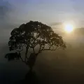Paradiese aus Menschenhand Thumbnail