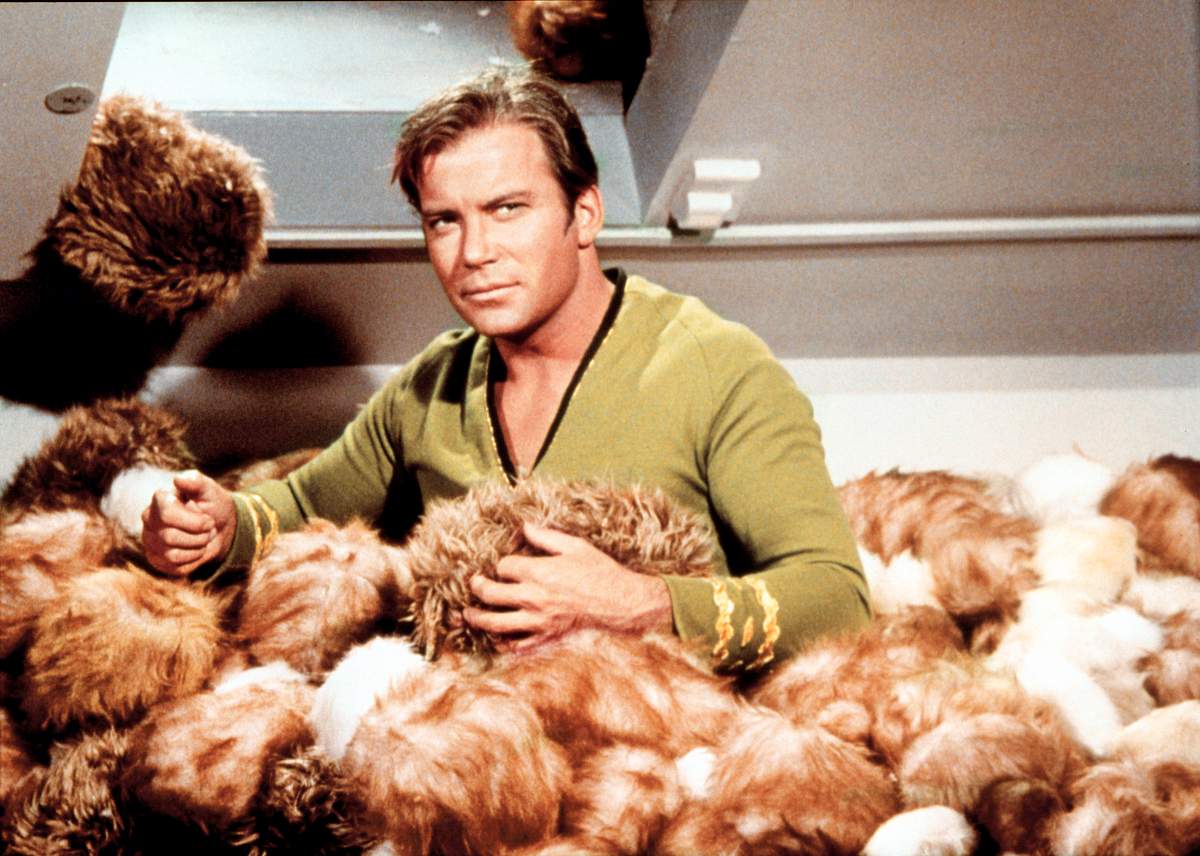 raumschiff enterprise