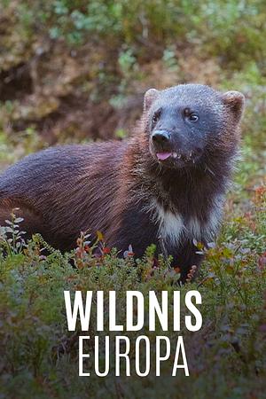 Wildnis Europa - Foto: TMDB