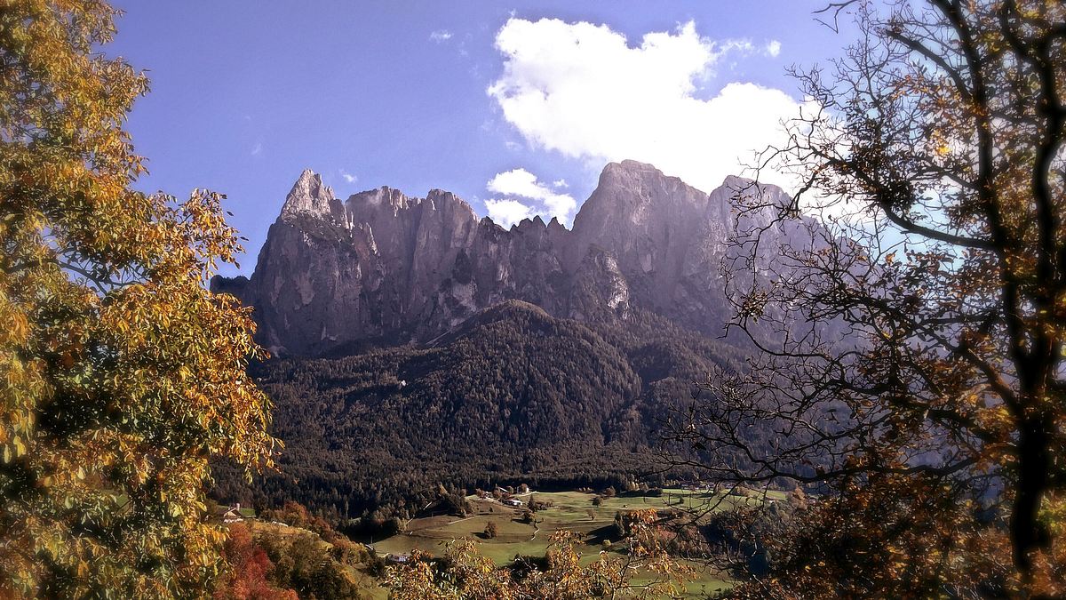 zurück zur natur
