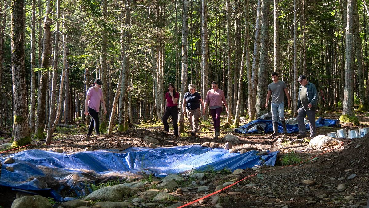 oak island - fluch und legende