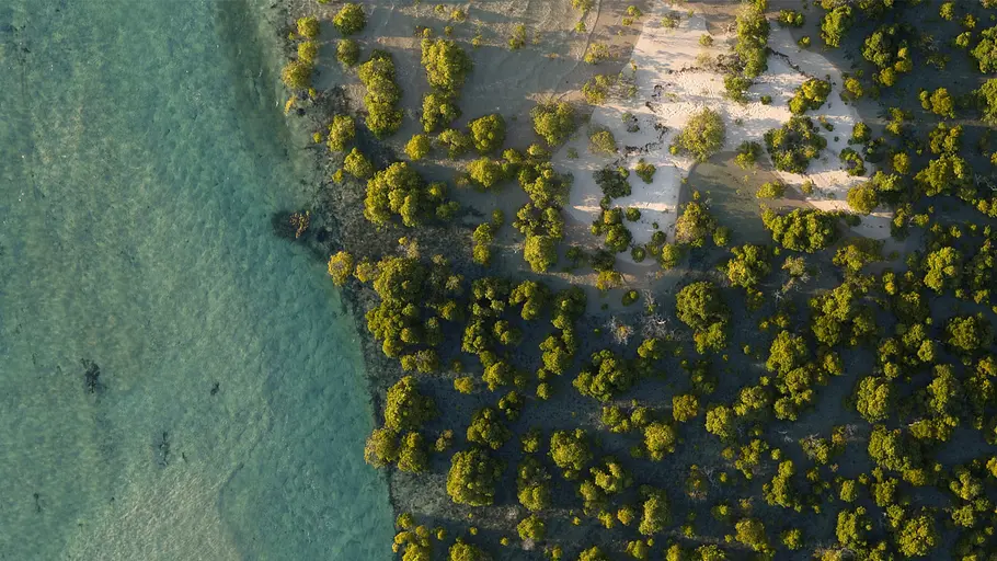 afrika von oben