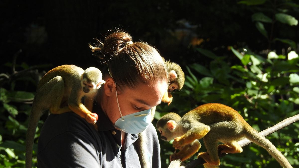 bronx zoo - tierpark der superlative