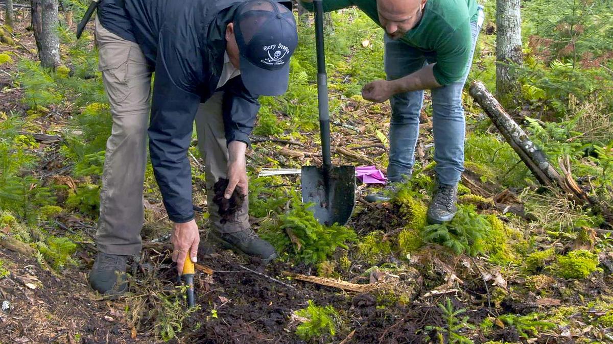 oak island - fluch und legende