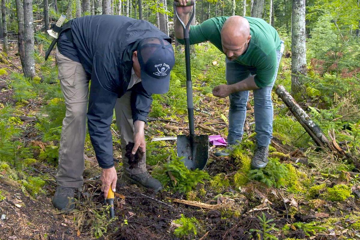 Oak Island - Fluch und Legende oak island - fluch und legende