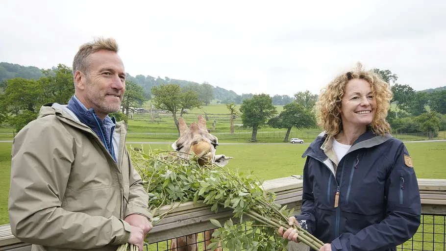 animal park: zoo-geschichten aus longleat