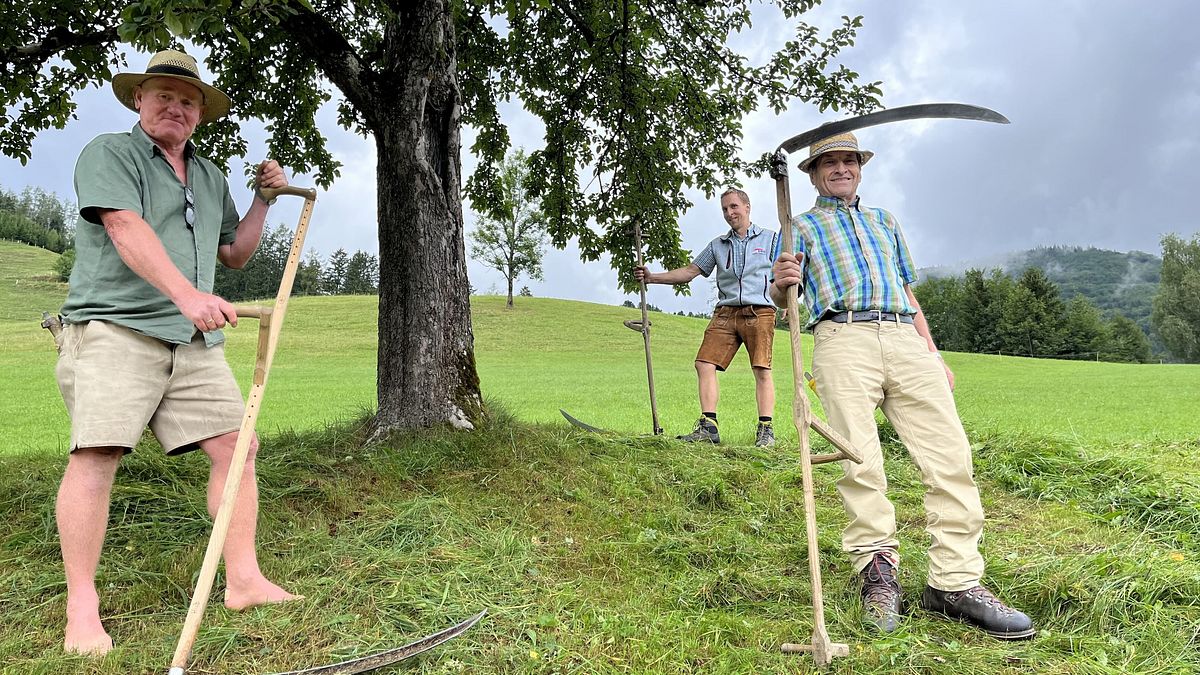 erlebnis österreich