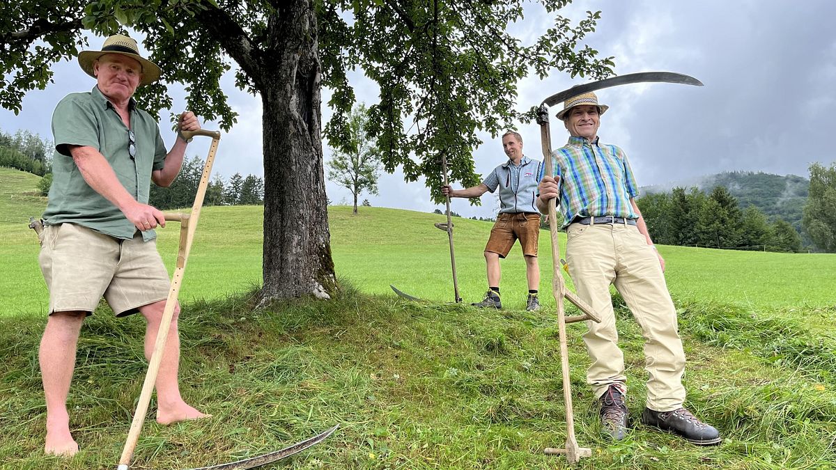 erlebnis österreich