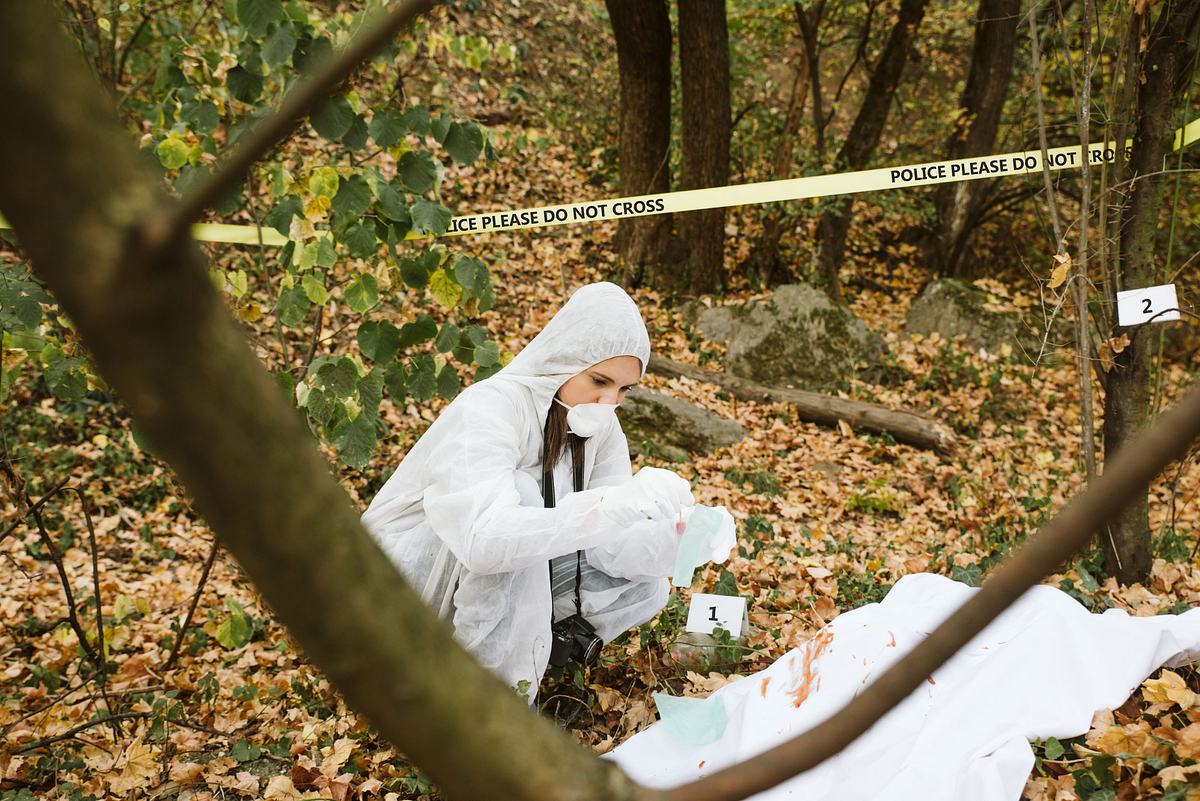 24 stunden bis zum mord