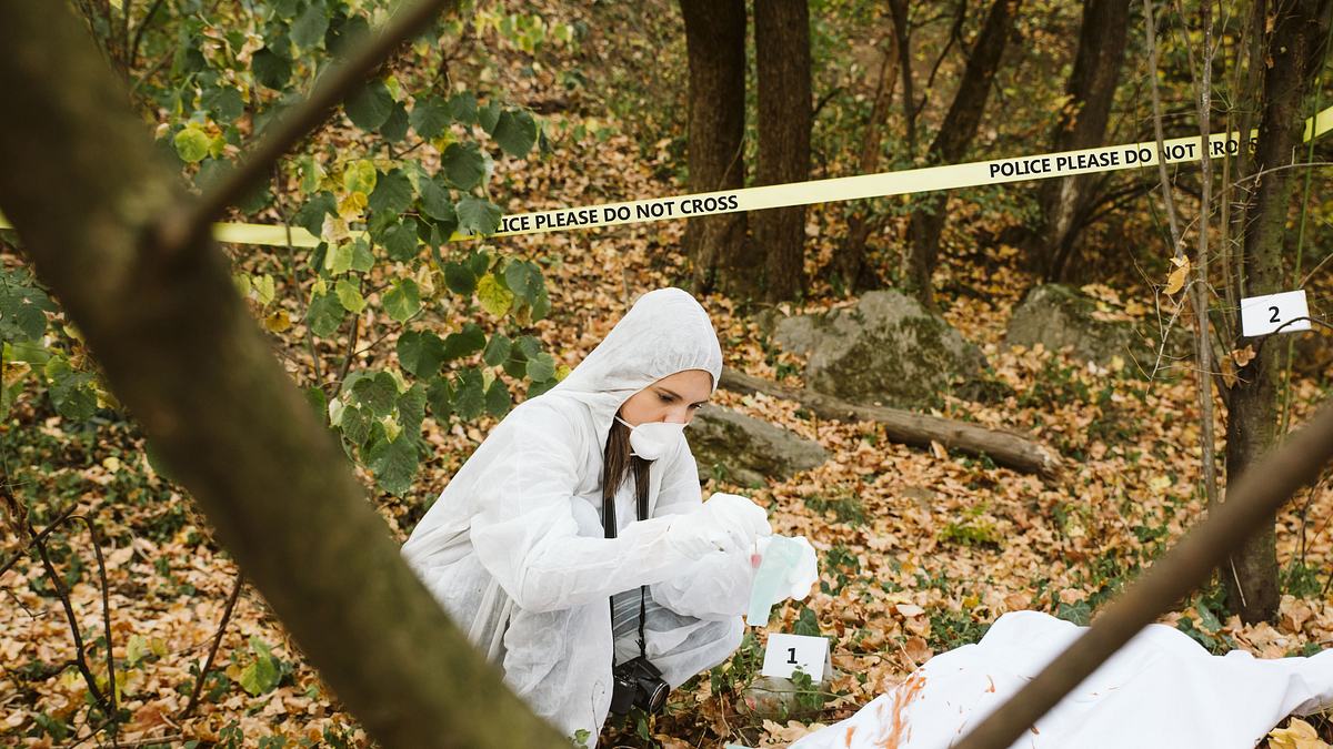 24 stunden bis zum mord