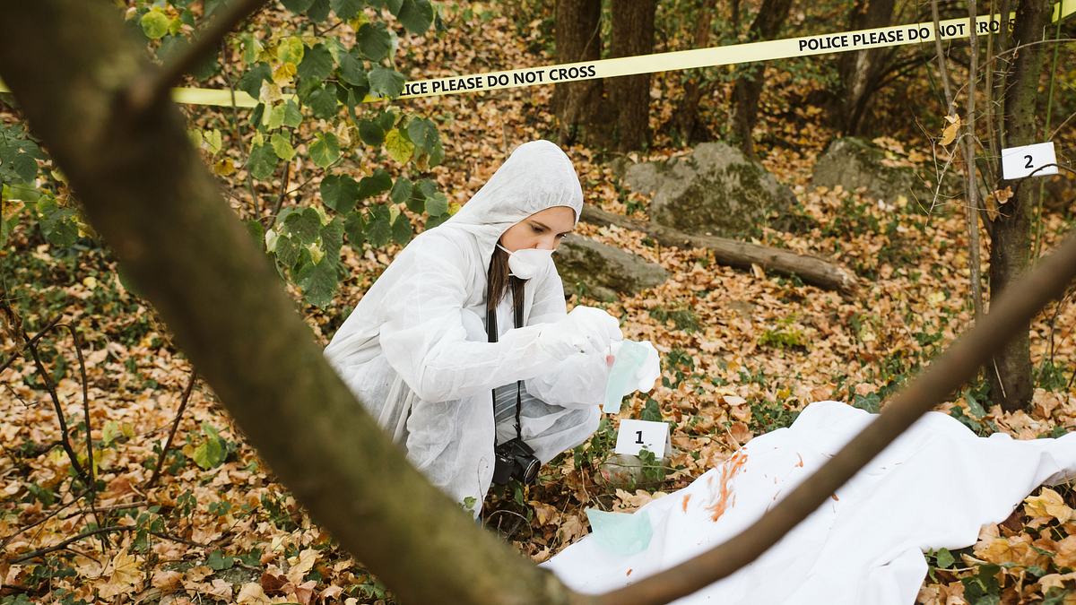 buried in the backyard - mord verjährt nicht