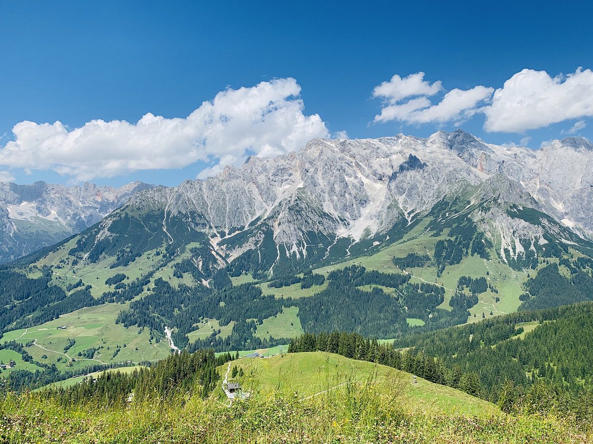 reisezeit - zurück zur natur