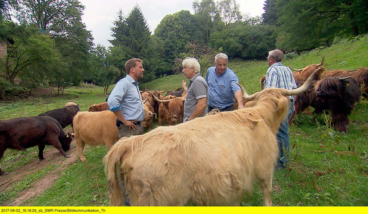 Expedition in die Heimat expedition in die heimat