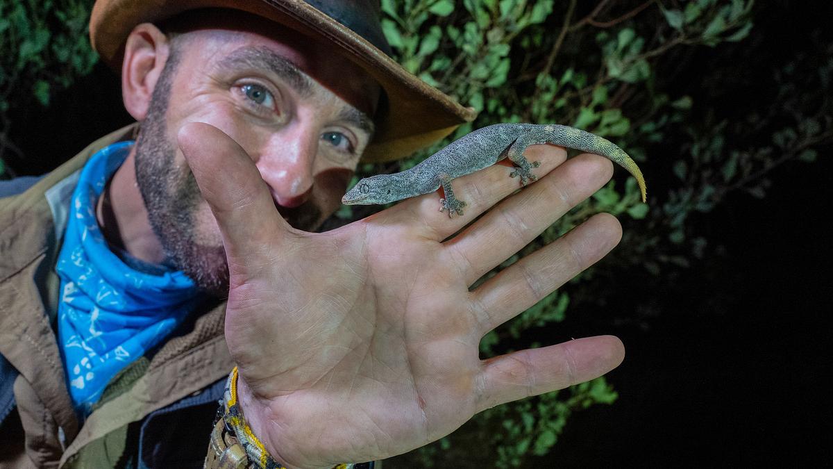 faszinierende tierwelt mit coyote peterson