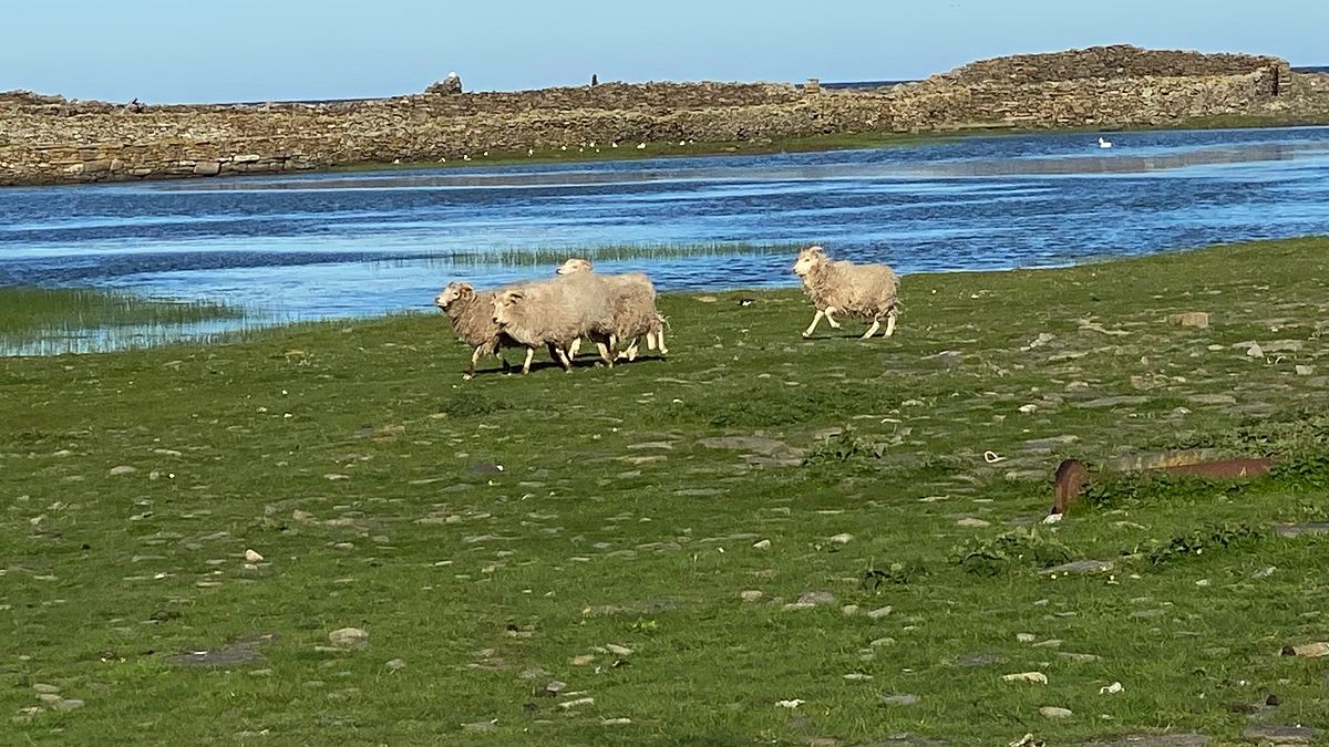 leben an der nordsee