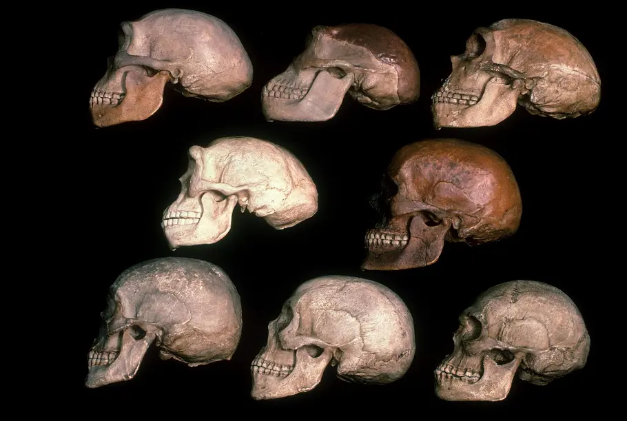 Ancient Aliens - Unerklärliche Phänomene ancient aliens - unerklärliche phänomene