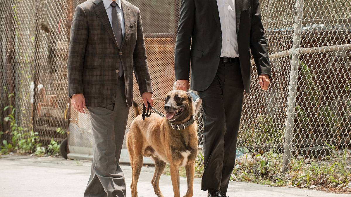person of interest