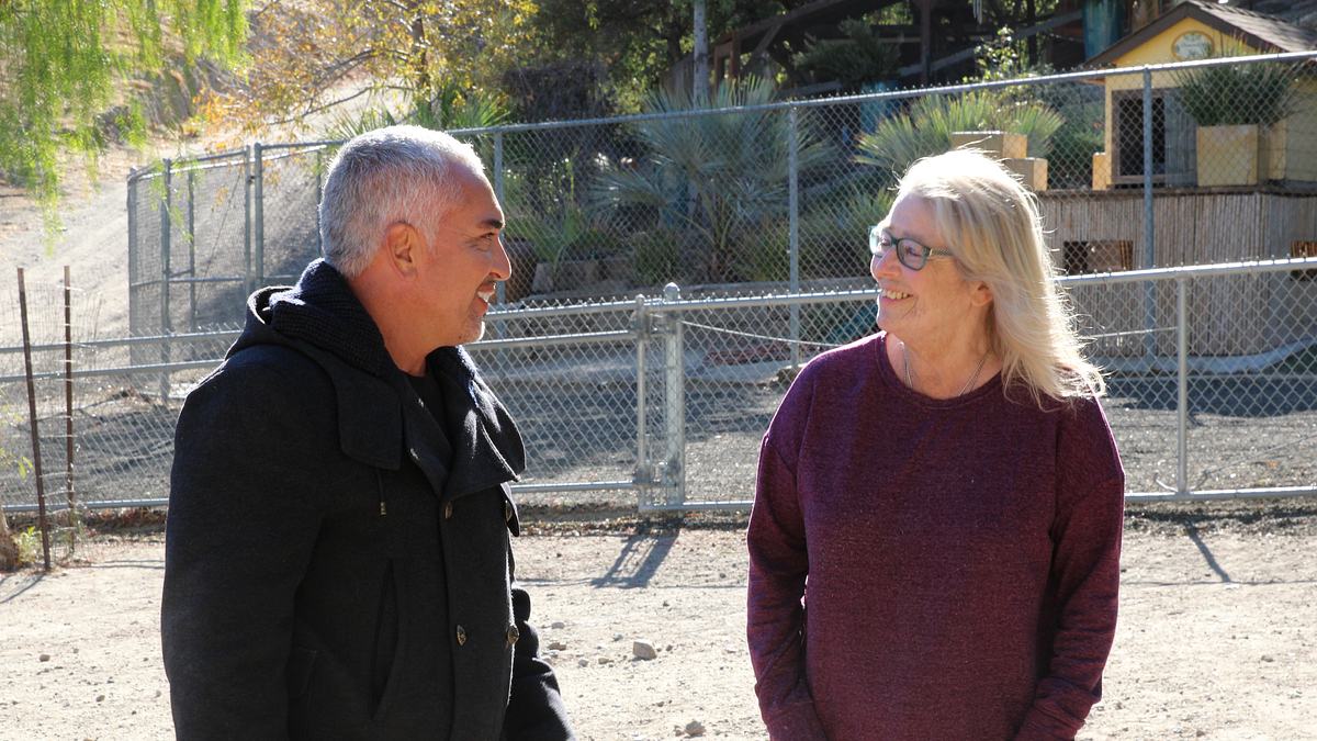 cesar millan: guter mensch, guter hund