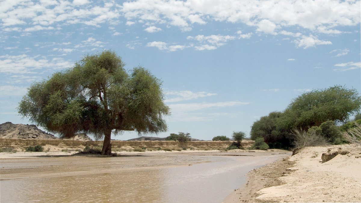 die wilden flüsse afrikas